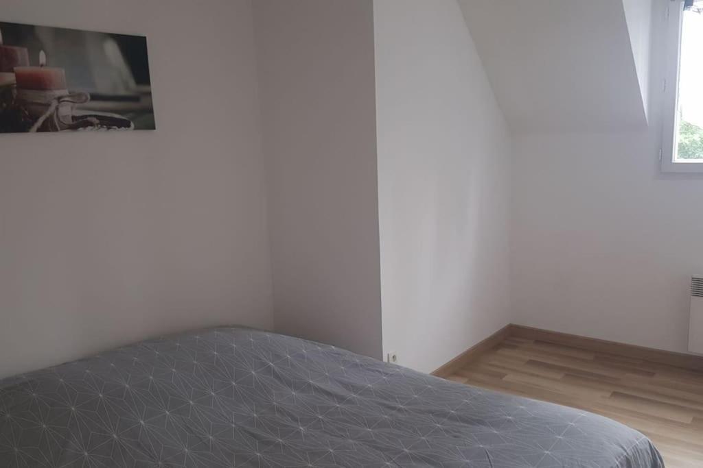 Logement Plein Centre De Plerin A Proximite Des Plages Et Des Commerces Esterno foto